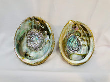 Load image into Gallery viewer, Abalone Shell Smudge Bowl